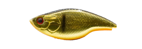 BLAZE 73 SILENT (Kinkuro)