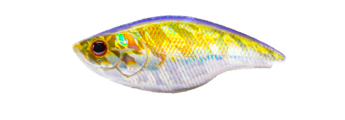 BLAZE 73 SILENT (Alburno Flash)