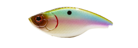 BLAZE 73 SILENT (Rainbow Shiner)