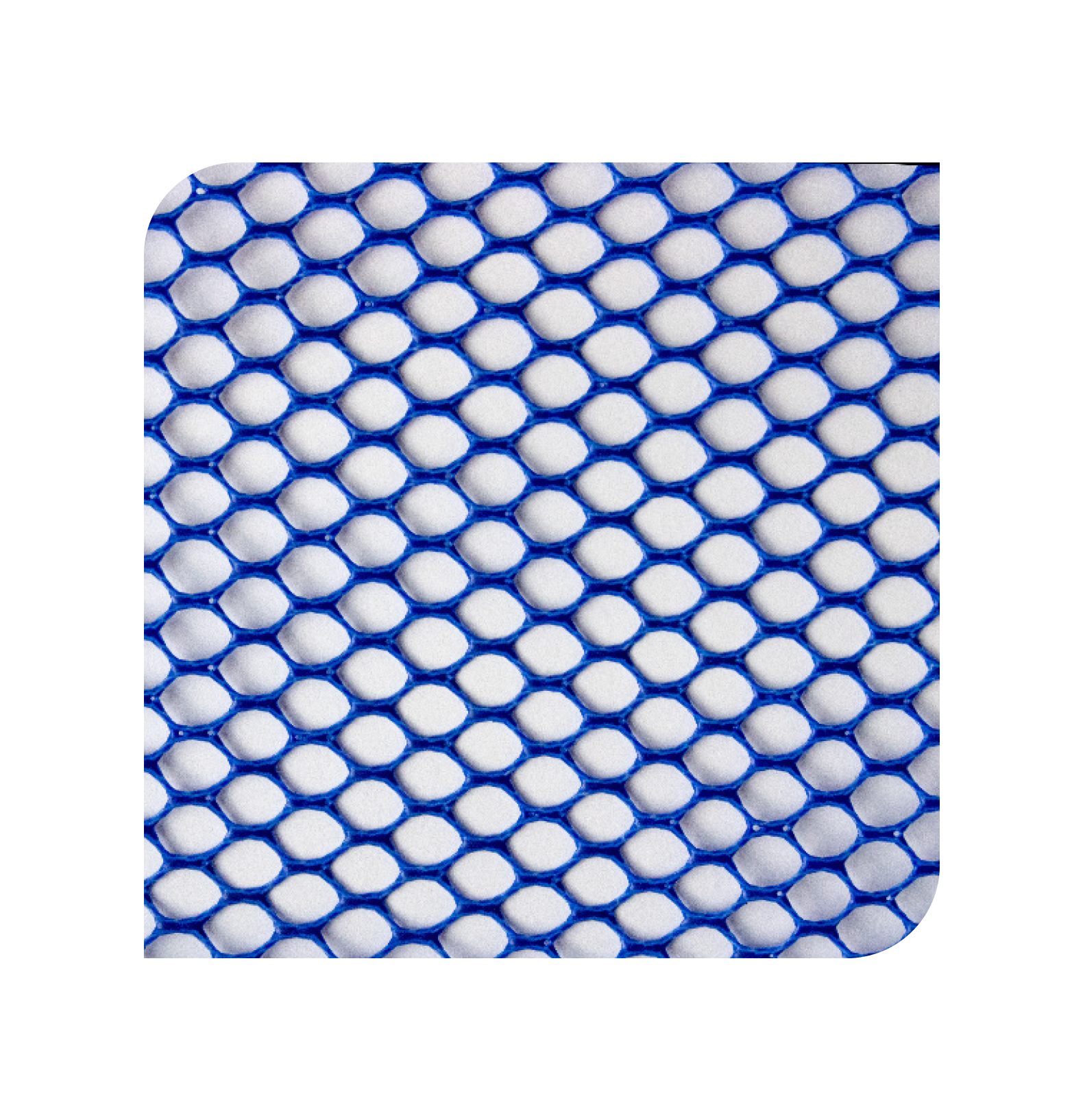 GUMMA CARP 020 (45x40cm)