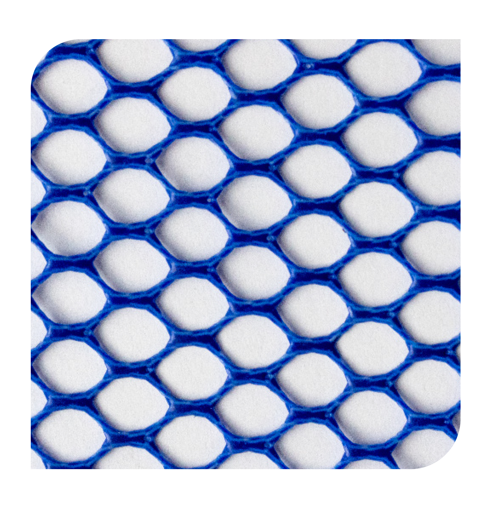 GUMMA CARP 056 (45x40cm)