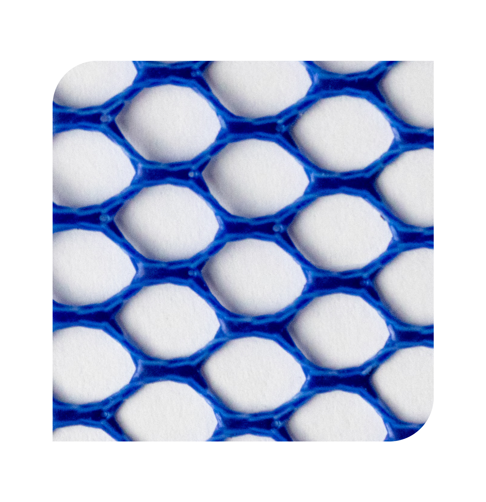 GUMMA CARP 068 (50x43cm)