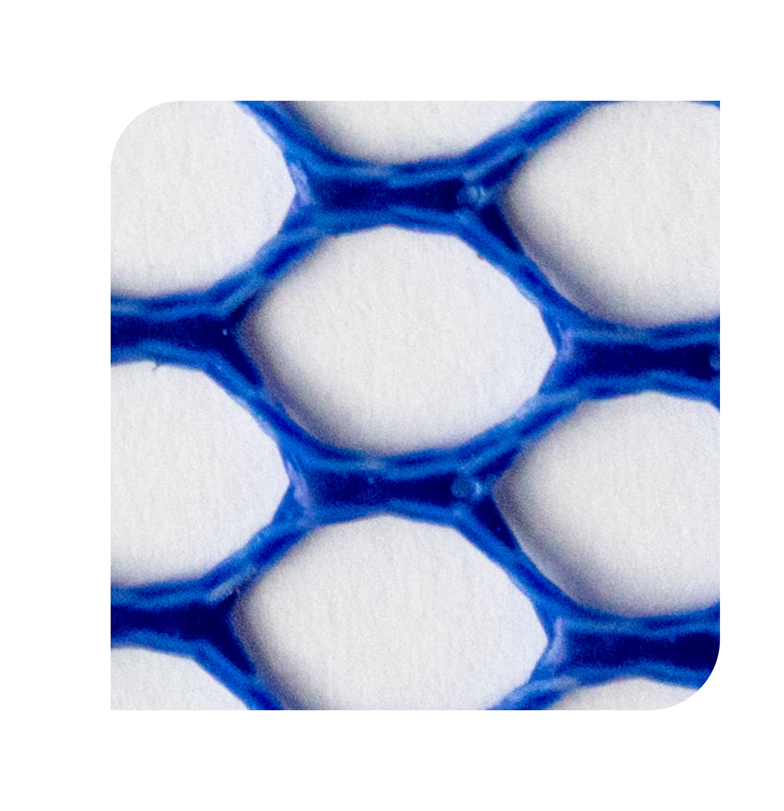 GUMMA CARP 200 (50x43cm)