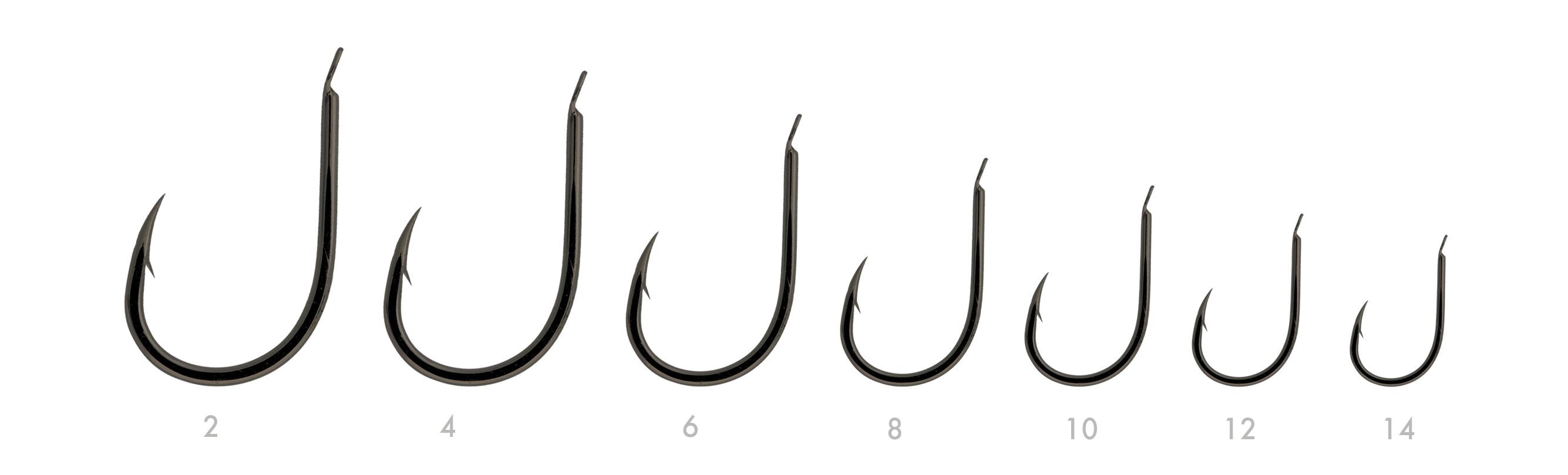 SERIE 122 N. 06 (BNI)
