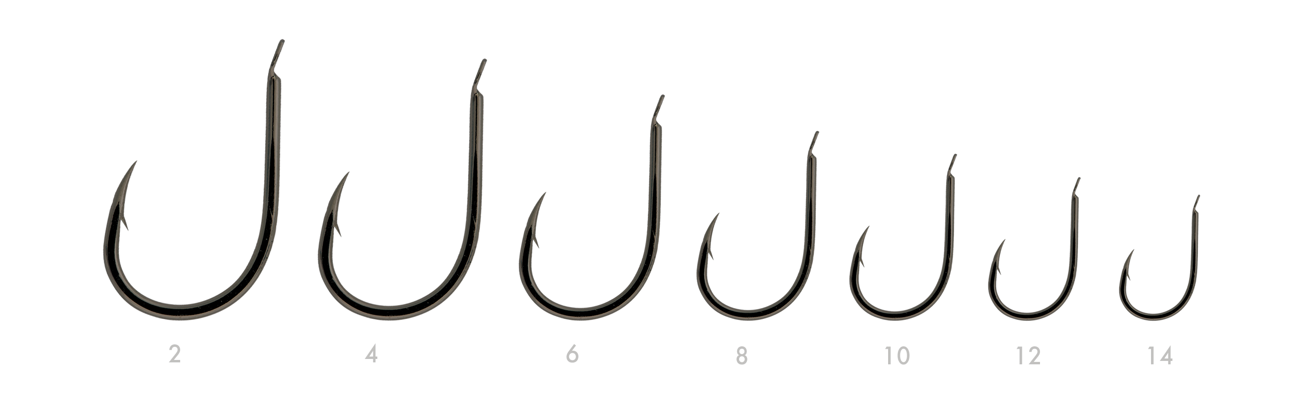 SERIE 122 N. 06 (BNI)