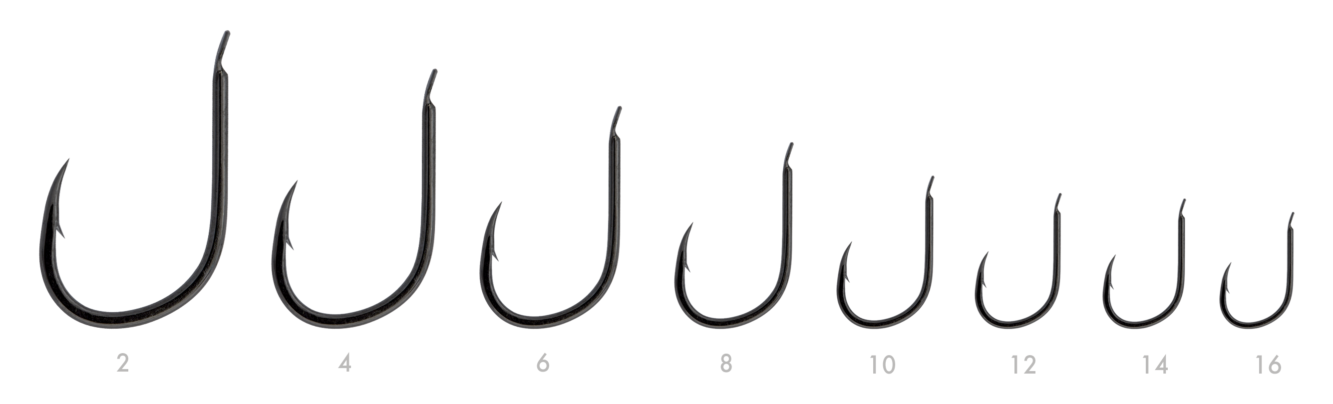 SERIE 145 N. 04 (BNI)
