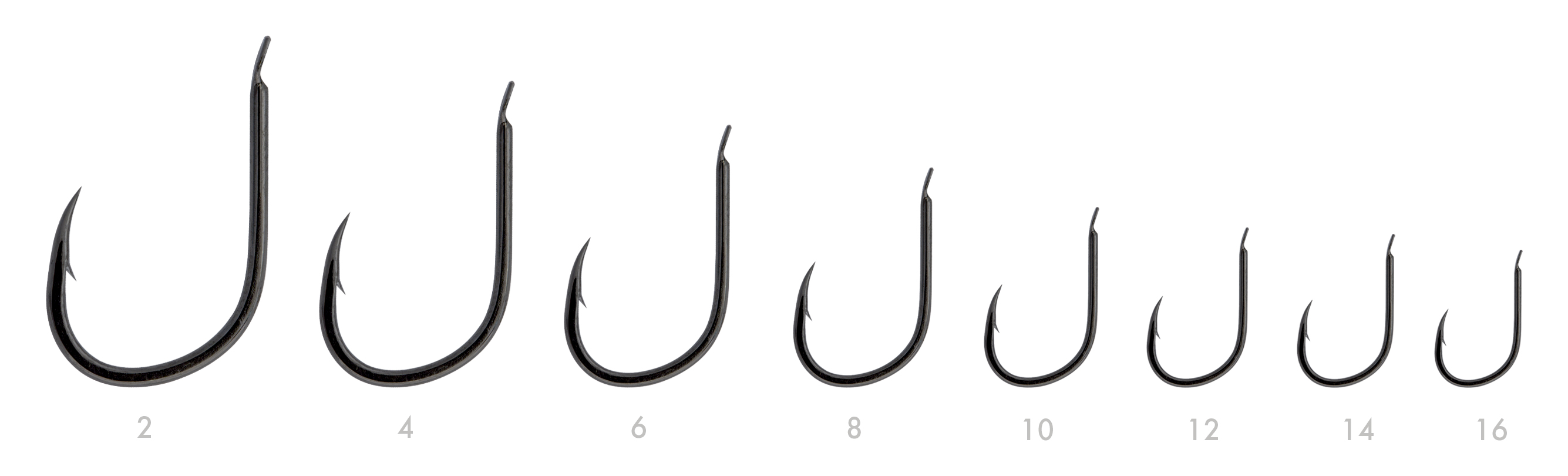 SERIE 145 N. 04 (BNI)