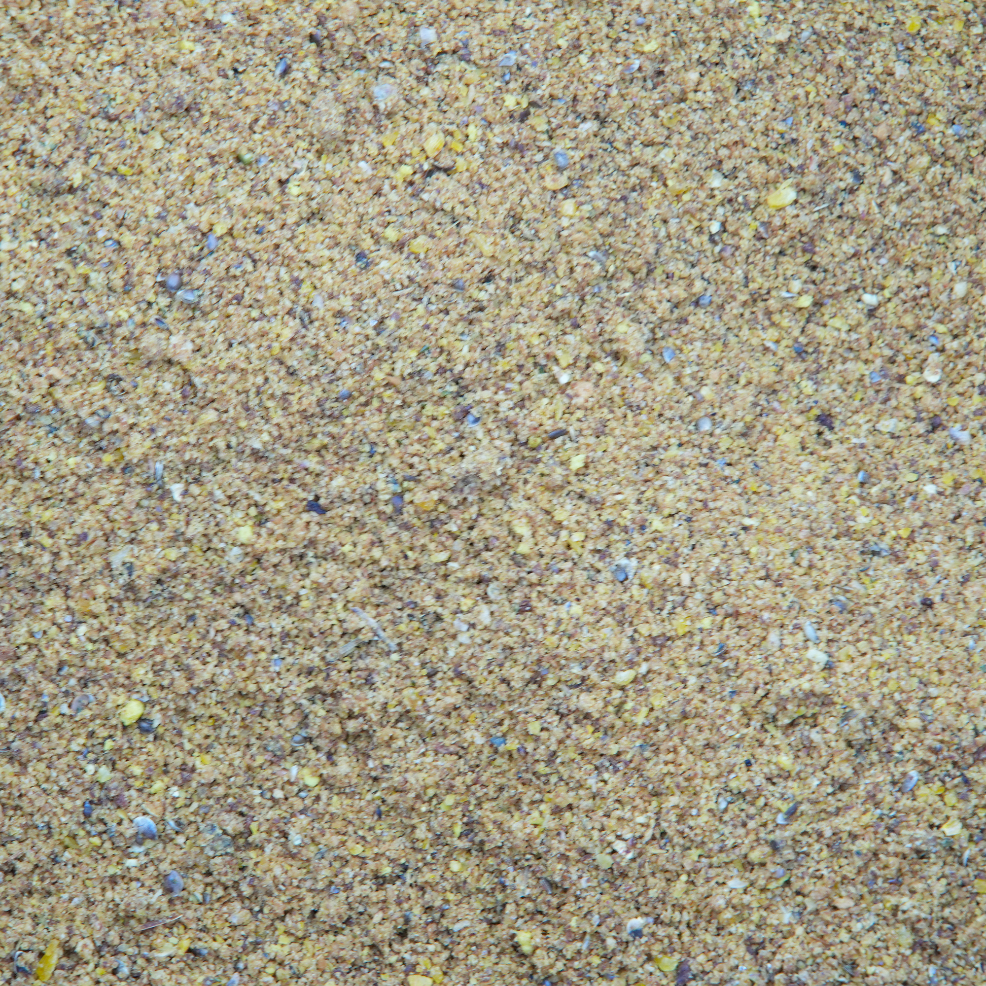 MB 500 CARPA – CARASSIO – BREME 1 kg