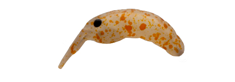 MOTH 28 SK (Ghost Pellet Glow)