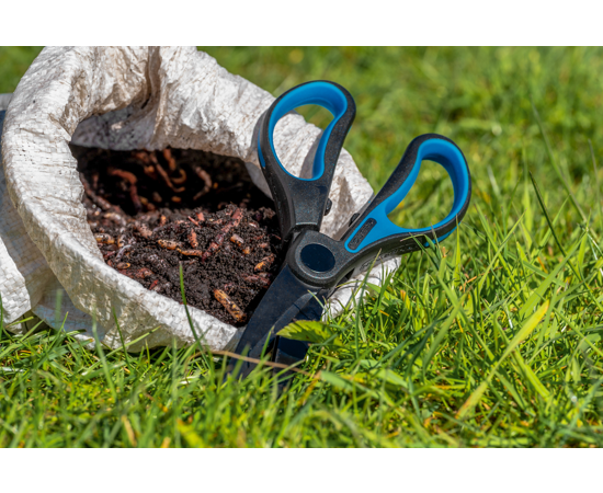 Worm Scissors